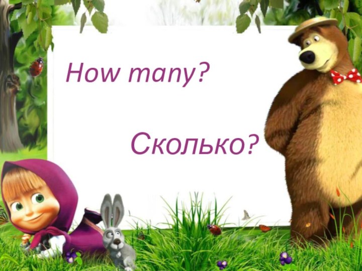 How many?Сколько?