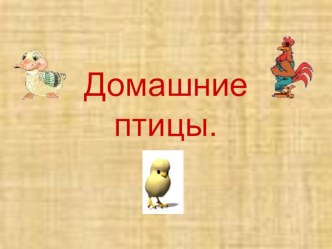 Презентация Домашние птицы для детей 4-5 лет презентация урока для интерактивной доски по окружающему миру (средняя группа)