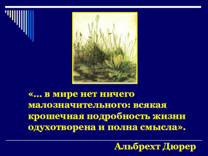 «… в мире нет ничего малозначительного: всякая крошечная подробность жизни одухотворена и