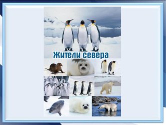 Животные Севера презентация к уроку по логопедии (подготовительная группа)