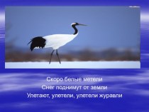 Презентация к уроку по теме:Изменения в природе. Похолодание, отлет птиц презентация к уроку по окружающему миру (1 класс)