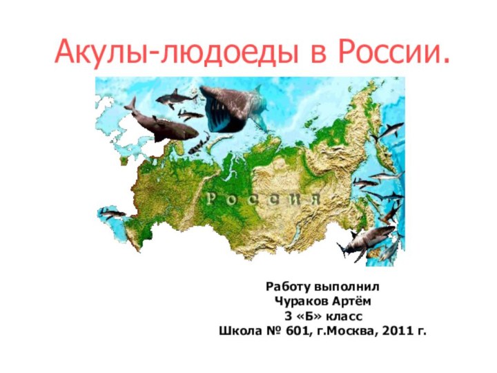 Акулы-людоеды в России.Работу выполнилЧураков Артём3 «Б» классШкола № 601, г.Москва, 2011 г.