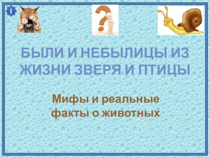 Были и небылицы из жизни зверя и птицыМифы и реальные факты о животных I