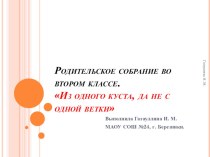 Родительское собрание Из одного куста , да не с одной ветки методическая разработка (2 класс)