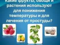 Викторина по теме Здоровый образ жизни презентация к уроку по теме