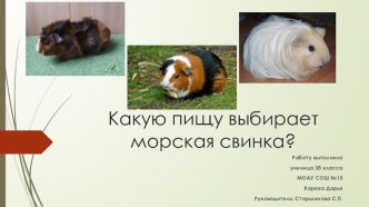 Конкурсная работа проектов потенциал проект (4 класс) по теме