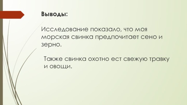 Выводы:  Исследование показало, что моя морская свинка предпочитает сено и зерно.