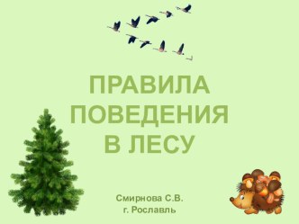 Презентация Правила поведения в лесу презентация к уроку по окружающему миру (подготовительная группа)