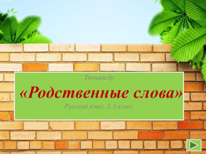 Тренажёр«Родственные слова»Русский язык, 2-3 класс