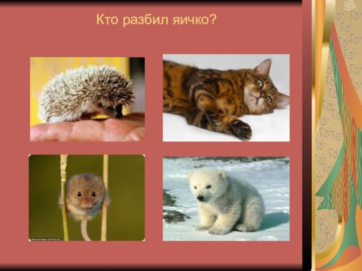 Кто разбил яичко?