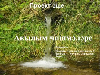 Авылым чишмәләре проект (4 класс)