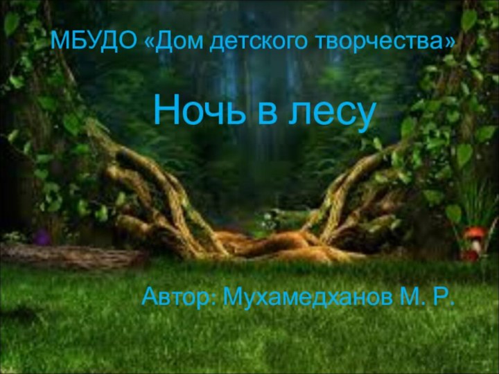 МБУДО «Дом детского творчества»Ночь в лесуАвтор: Мухамедханов М. Р.