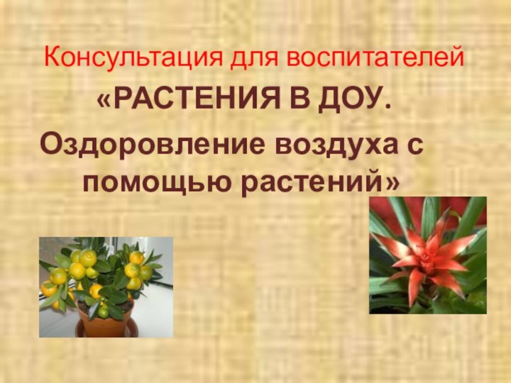 Консультация для воспитателей 	«РАСТЕНИЯ В ДОУ.Оздоровление воздуха с помощью растений»