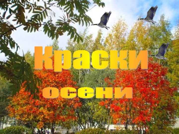 Краски осени