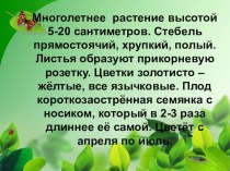 Урок русского языка для учащихся 3 класса по теме  Текст описания растения по программе Школа России план-конспект урока по русскому языку (3 класс)