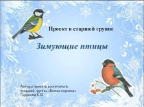 Презентация проекта Зимующие птицы проект (старшая группа)