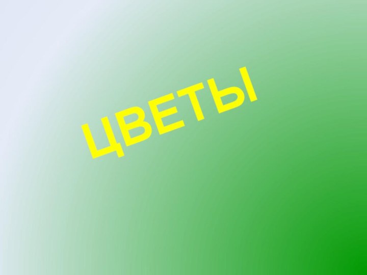 ЦВЕТЫ