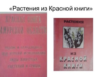 Окружающий мир материал по теме