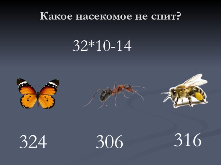 Какое насекомое не спит?32430631632*10-14