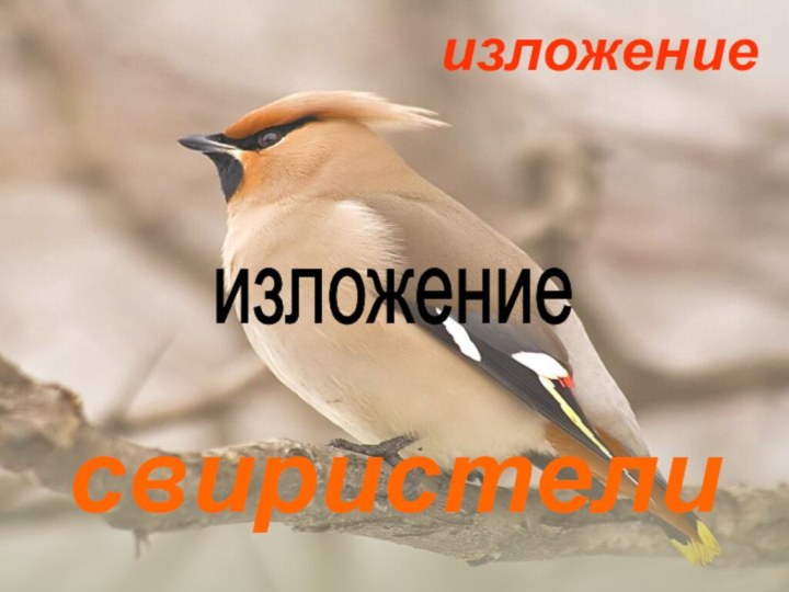 изложениесвиристелиизложение