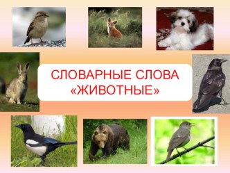 Словарные слова Животные