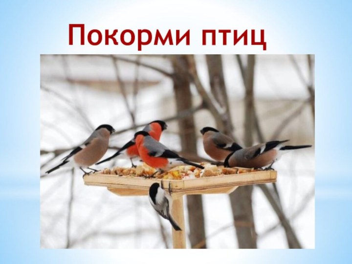 Покорми птиц