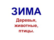 Зима. Презентация презентация к уроку по изобразительному искусству (изо, 1 класс)