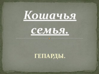 Презентация Гепарды. презентация к уроку (3 класс)