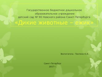 Дикие животные - ежик презентация к уроку по окружающему миру (подготовительная группа)