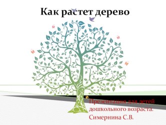 Презентация для детей дошкольного возраста - Как растет дерево. презентация к уроку по окружающему миру (подготовительная группа)