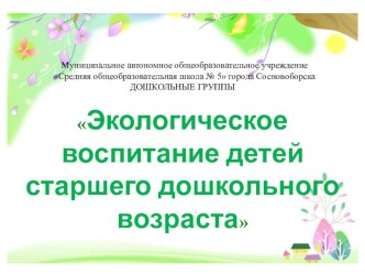 экология материал (старшая группа)