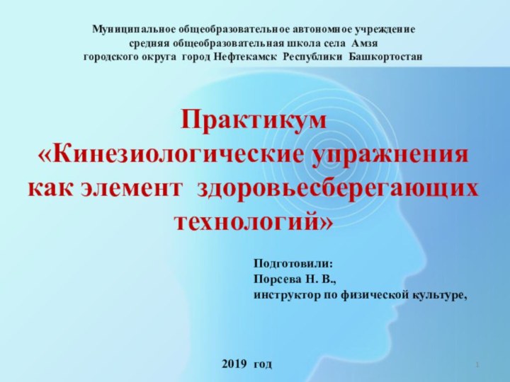 Муниципальное общеобразовательное автономное учреждение средняя общеобразовательная школа села Амзя городского округа