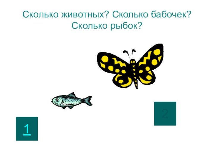 Сколько животных? Сколько бабочек? Сколько рыбок?12