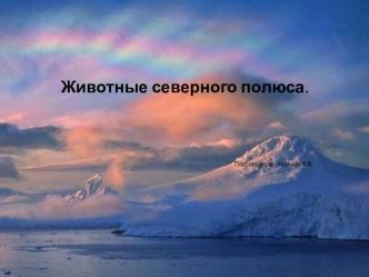 Презентация Животные Северного полюса. презентация к уроку (подготовительная группа)