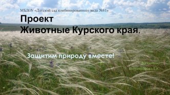 Презентация проекта  Дикие животные Курского края.Защитим природу вместе. проект по окружающему миру (младшая группа)