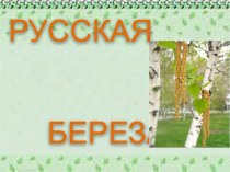 От чего так в России березы шумят... презентация к уроку (старшая, подготовительная группа) по теме