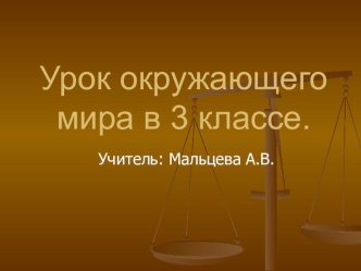 Урок Разнообразие веществ план-конспект урока по окружающему миру (3 класс)