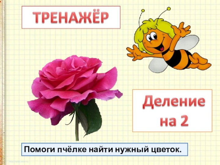 Помоги пчёлке найти нужный цветок.