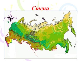 Презентация по окружающему миру Растения степи 3 класс презентация к уроку по окружающему миру (3 класс) по теме