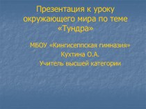 Урок окружающего мира по теме Тундра презентация к уроку по окружающему миру (4 класс) по теме