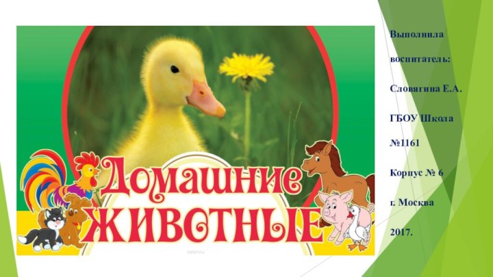 Домашние животныеВыполнила воспитатель:Словягина Е.А.ГБОУ Школа №1161Корпус № 6г. Москва2017.