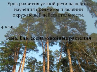 Ель, сосна - хвойные растения методическая разработка по окружающему миру (4 класс)