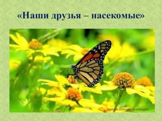 Конспект непосредственно образовательной деятельности по образовательной области Ознакомление с миром природы по теме Наши друзья - насекомые план-конспект занятия по окружающему миру (старшая группа) по теме