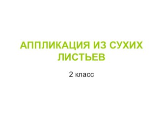 АППЛИКАЦИЯ ИЗ СУХИХ ЛИСТЬЕВ презентация к уроку по технологии (2 класс)