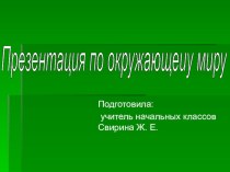 презентация для 3 класса  В царстве грибов презентация к уроку по окружающему миру (3 класс)