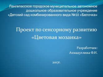 Проект по сенсорике Цветовая мозаика проект (средняя группа)