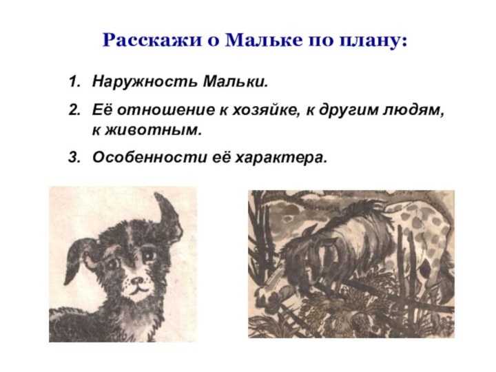 Расскажи о Мальке по плану:Наружность Мальки.Её отношение к хозяйке, к другим