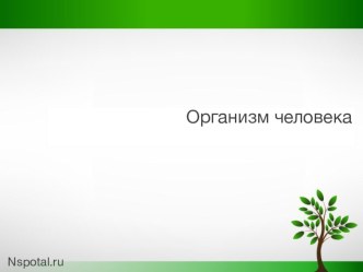 Организм человека - системы органов презентация к уроку по окружающему миру (3 класс)