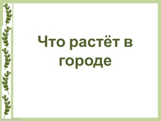 Что растет в городе презентация по окружающему миру презентация к уроку по окружающему миру (1 класс)