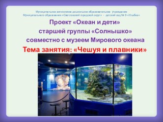 Проект Океан и дети старшей группы Солнышко совместно с музеем Мирового океана Тема занятия: Чешуя и плавники презентация к уроку по окружающему миру (старшая группа)